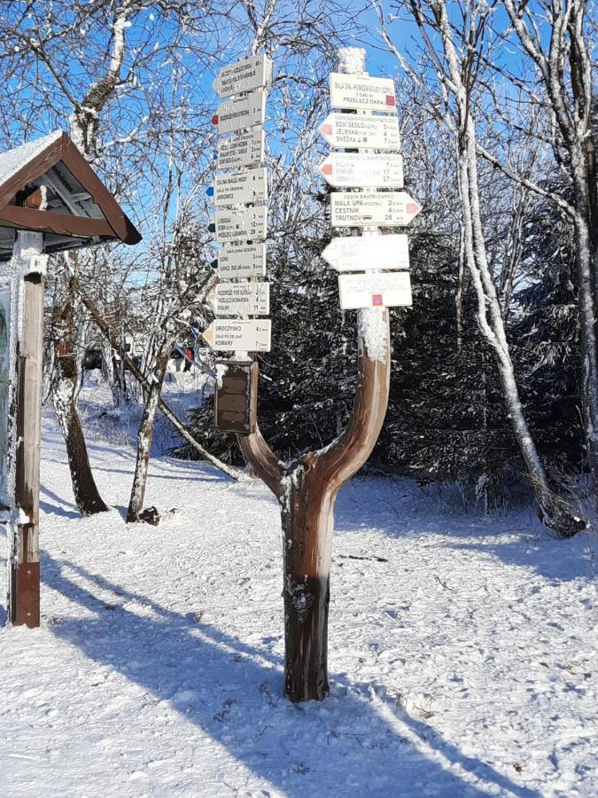 Apartman S Vyhlidkou Horní Maršov Exteriör bild