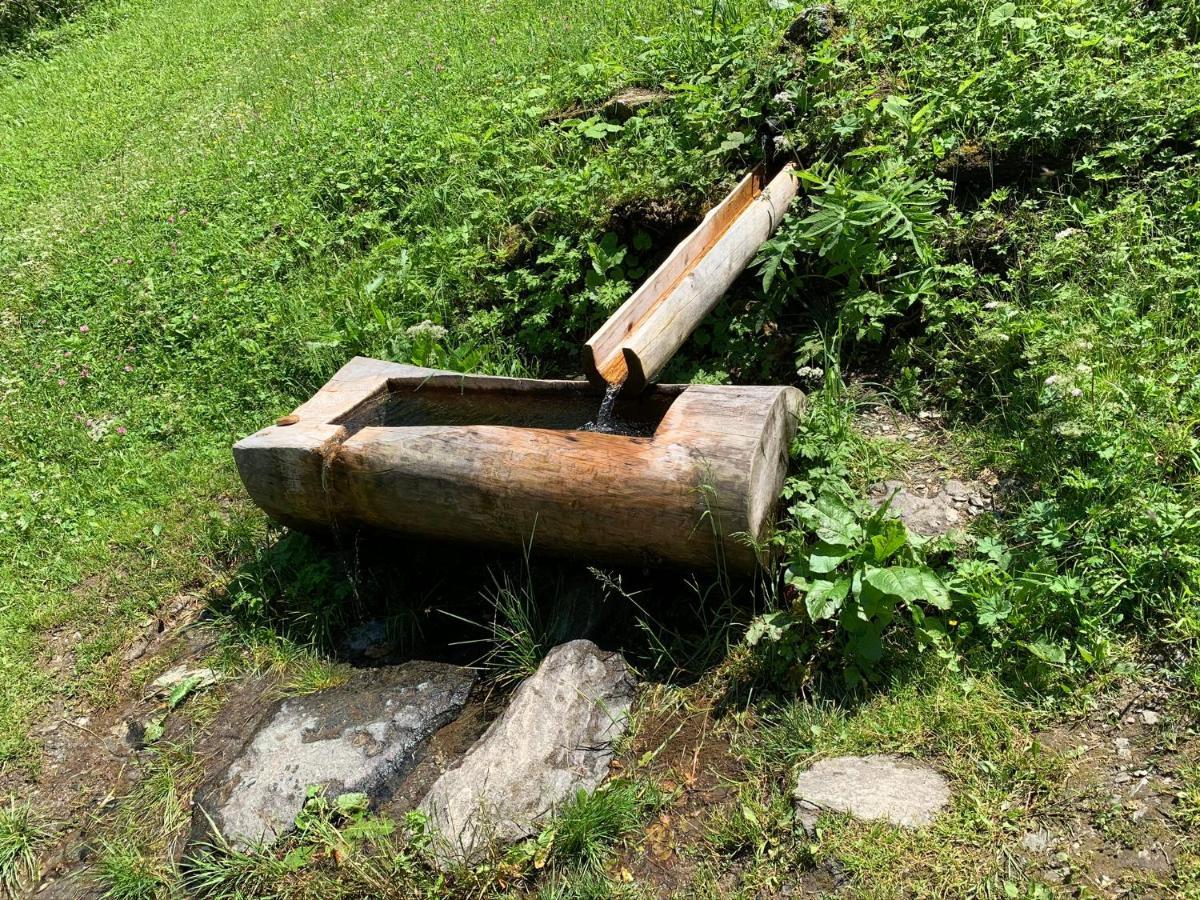 Apartman S Vyhlidkou Horní Maršov Exteriör bild